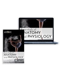 Essentials of Anatomy and Physiology
