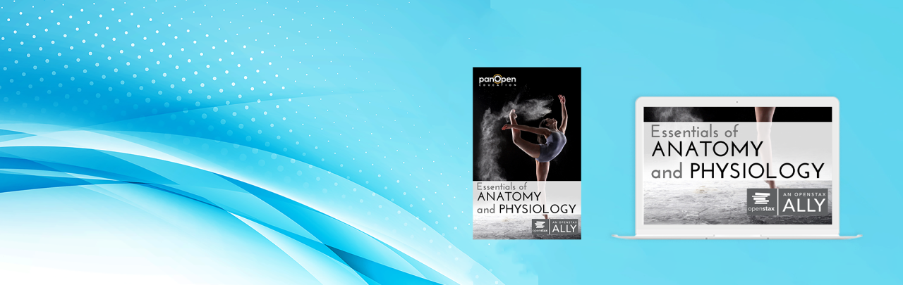 Essentials of Anatomy and Physiology