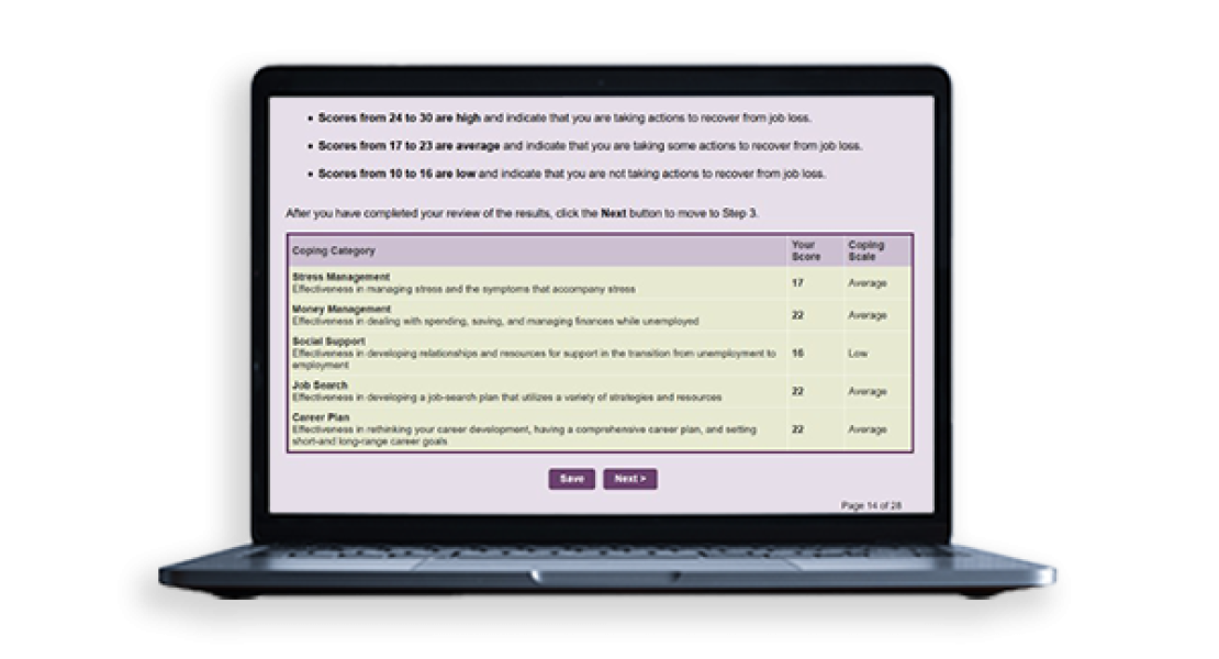 Digital version of the Re-Employment Success Inventory